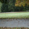 2013_reiunion081001.jpg